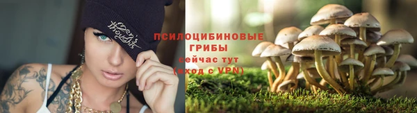 марки nbome Балабаново