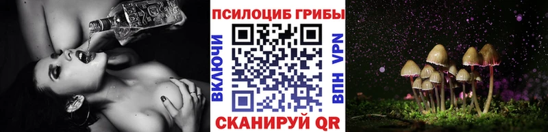 где продают наркотики Ершов Галлюциногенные грибы GOLDEN TEACHER
