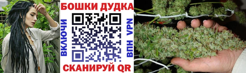 Бошки Шишки семена  даркнет сайт  Ершов 